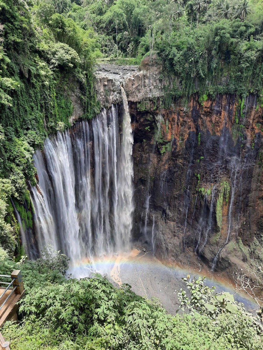 wisatambois's tweet photo. Dimalang tapi ga pernah ke tumpak sewu ya rugi rek🤭
Tiket masuk 10k
2 jam’an dari kota malang
Ayo kesini bareng ayangmu🥰
📍 Jalan Tumpak Sewu, Besukcukit, Sidomulyo, Kec. Pronojiwo, Kabupaten Lumajang, Jawa Timur
#tumpaksewu 
#Election2024 https://t.co/KsSgx8OQZy