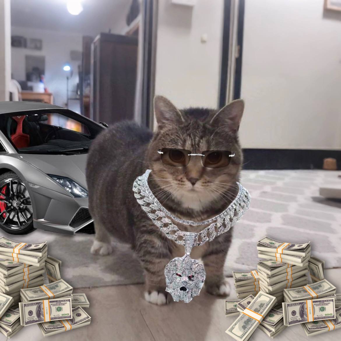 Spinning Cat - fan page tweet media