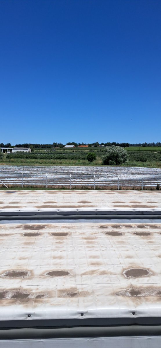 DBCC Transport (@dbcc_transport) on Twitter photo 