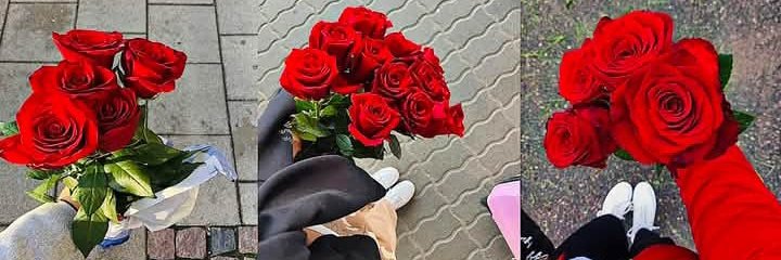 wang lee (@wanglee1785906) on Twitter photo 