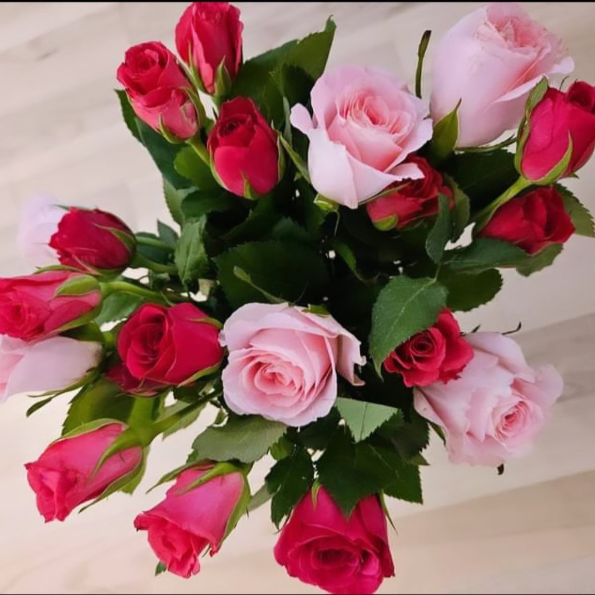 wang lee (@wanglee1785906) on Twitter photo 