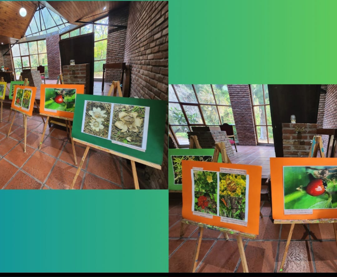 wang lee (@wanglee1785906) on Twitter photo 