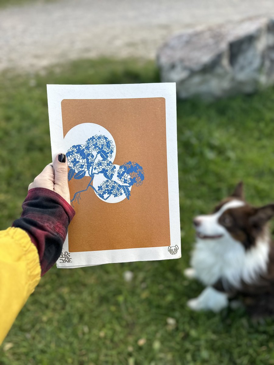 Karlinvasion's tweet image. Avec cette grosse drama queen derrière