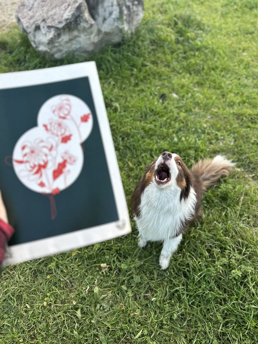 Karlinvasion's tweet image. Avec cette grosse drama queen derrière