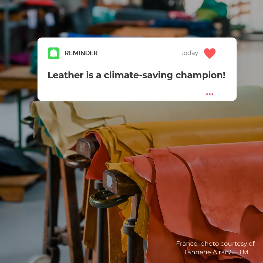 If skins and hides aren’t transformed into #leather, they end up in landfills, left to rot naturally—so what’s the problem?

Globally, 40% of cattle hides—134 mln annually—go to waste, emitting over 40 mln tonnes of CO₂ each year—equal to the yearly emissions of 8.7 mln cars 🚗.