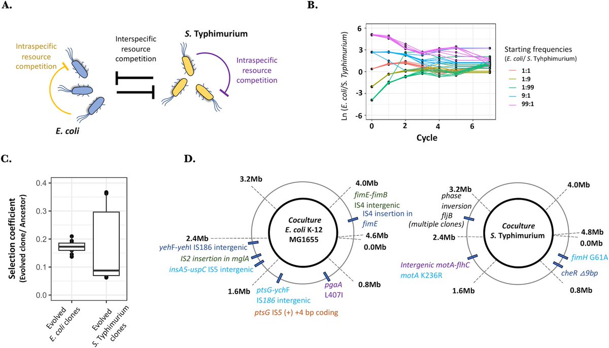 Akos T. Kovacs (@evolvedbiofilm) on Twitter photo The strength of interspecies interaction in a microbial community determines its susceptibility to invasion
-in <a href="/PLOSBiology/">PLOS Biology</a>
bsky.app/profile/evolve… The strength of interspecies interaction in a microbial community determines its susceptibility to invasion
-in <a href="/PLOSBiology/">PLOS Biology</a>
bsky.app/profile/evolve…