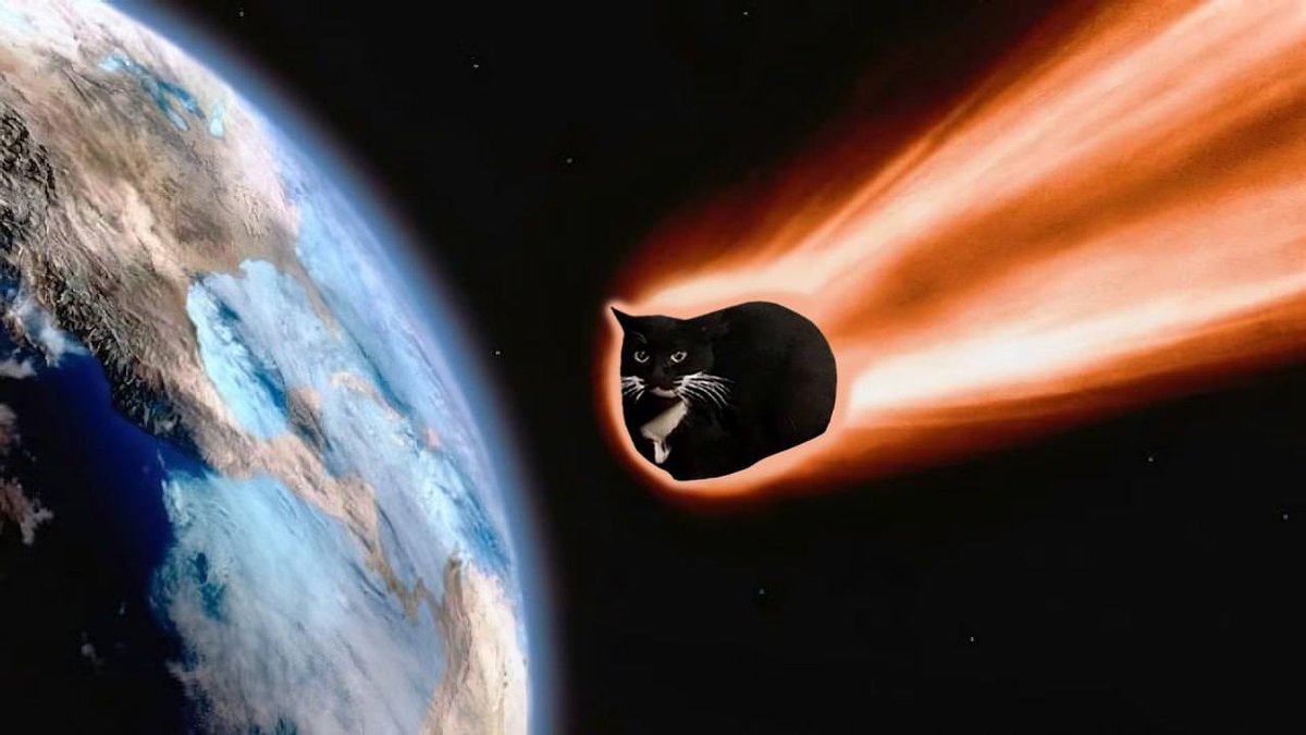 maxwellcoinsol's tweet photo. 🐈‍⬛ ☄️ https://t.co/Jk1sDtzAe5