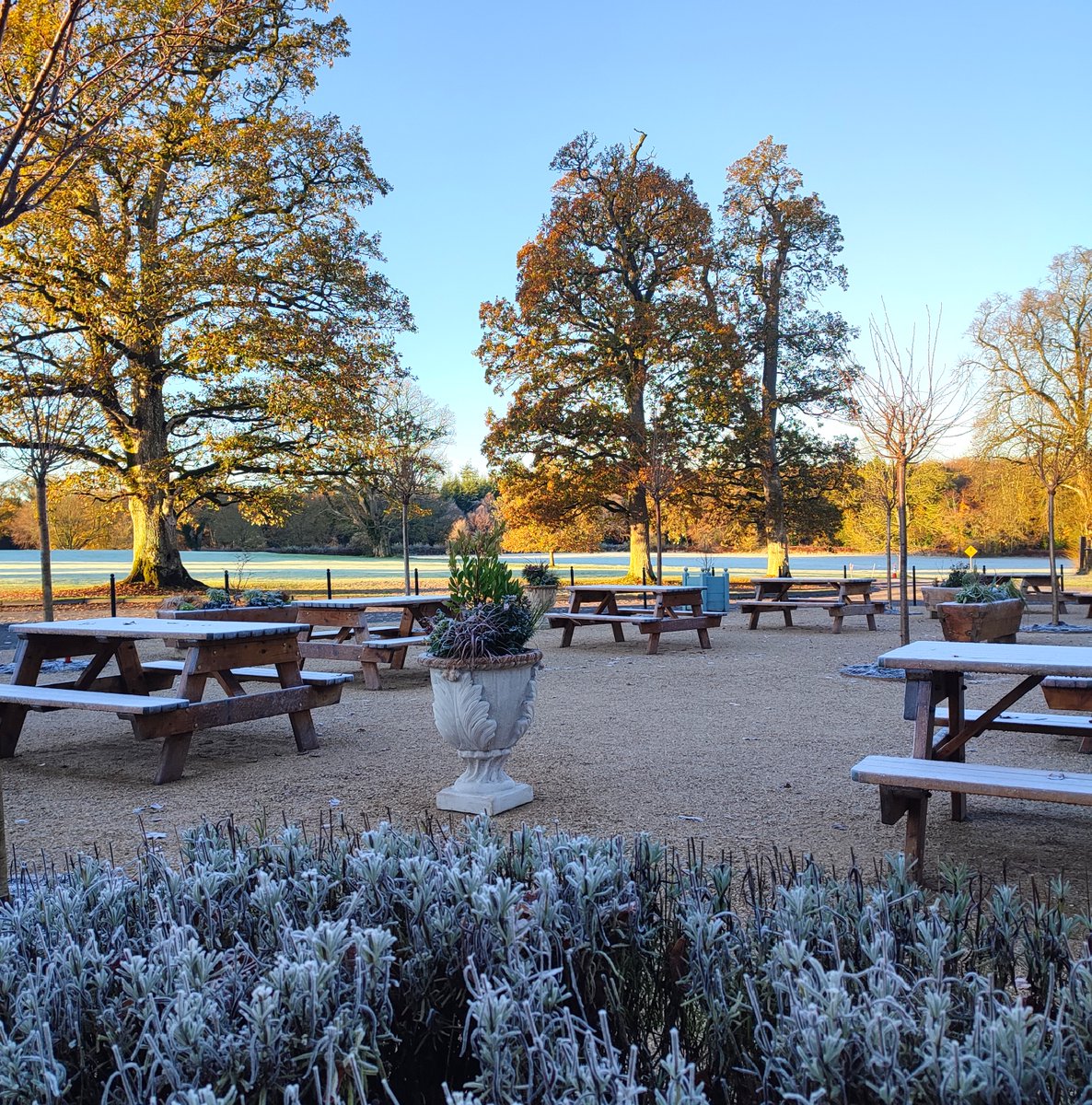 Emo Court (@emocourtopw) on Twitter photo Enjoy the winter sun in our new picnic area. <a href="/tourism_laois/">Laois Tourism</a> <a href="/LaoisCouncil/">Laois County Council</a> <a href="/HeritageIreOPW/">Heritage Ireland</a> <a href="/opwireland/">Office of Public Works</a> <a href="/HeritageLaois/">The Heritage</a> <a href="/MartleysCoaches/">Martleys Coach Hire - Portlaoise | Laois</a> <a href="/catocafinefood/">CaToCa Fine Foods</a> <a href="/LaoisPeople1/">Laois People</a> Enjoy the winter sun in our new picnic area. <a href="/tourism_laois/">Laois Tourism</a> <a href="/LaoisCouncil/">Laois County Council</a> <a href="/HeritageIreOPW/">Heritage Ireland</a> <a href="/opwireland/">Office of Public Works</a> <a href="/HeritageLaois/">The Heritage</a> <a href="/MartleysCoaches/">Martleys Coach Hire - Portlaoise | Laois</a> <a href="/catocafinefood/">CaToCa Fine Foods</a> <a href="/LaoisPeople1/">Laois People</a>