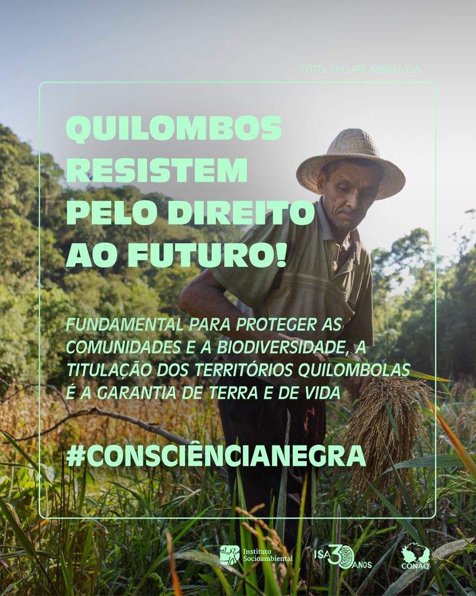 ✊🏾 O recado no Dia da #ConsciênciaNegra é titulação já!

Por todo o Brasil, as comunidades quilombolas seguem resistindo e reivindicando a titulação de seus territórios, medida fundamental para a garantia de direitos, da regulação do clima e do futuro do planeta.