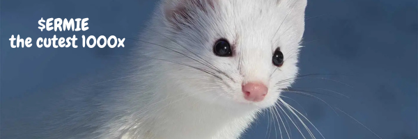 | Meeiro's IDO 9th November tweet media