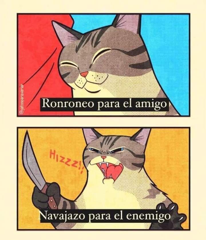 anyxne's tweet image. 