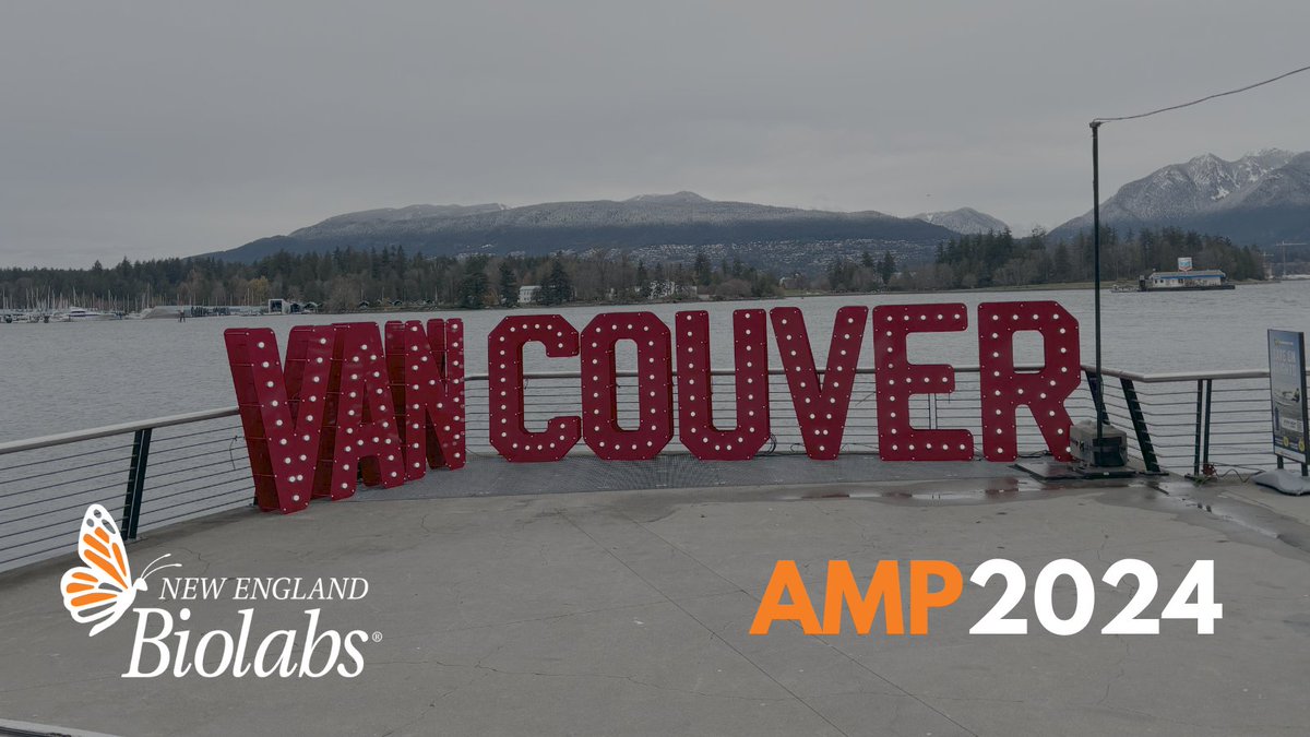 NEBiolabs's tweet photo. Planning your day at #AMPath2024? Add today's 9 am talk by NEB's own Andrew Mungall to the list. https://t.co/W4KA4TpcE6