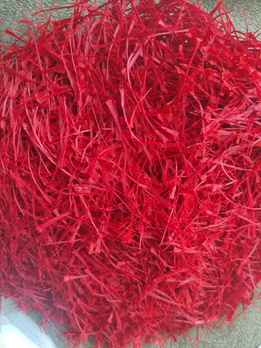 lu3ifer's tweet image. خب خب رفقا، کار برداشت زعفران های ما هم تقریبا تموم شد.
و از شنبه میتونیم سفارش های شما عزیزان رو براتون ارسال کنیم.
برای مشتری های قدیمی و وفادارمون امسال هدایای ویژه داریم.
برای مشتری های جدید هم یک سری هدایای دیگه.
برای سفارش میتونید به دایرکت یا اکانت تلگرام @H7_Dvr پیام بدید