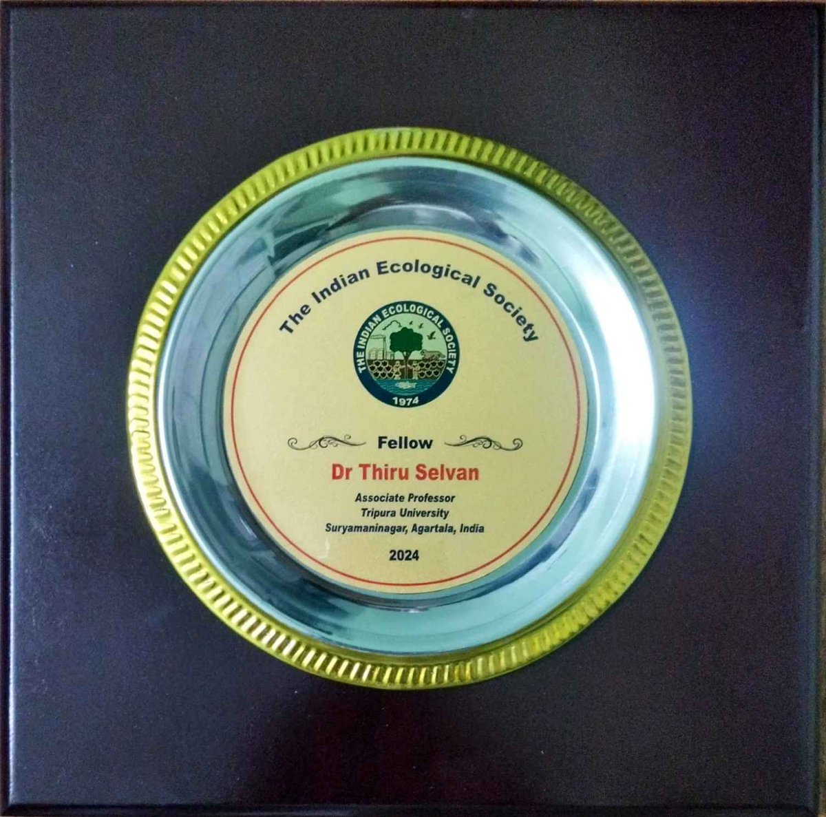 Tripura University Official tweet media