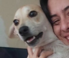 quando beijo meu cachorro depois de lamber o c* de um desconhecido