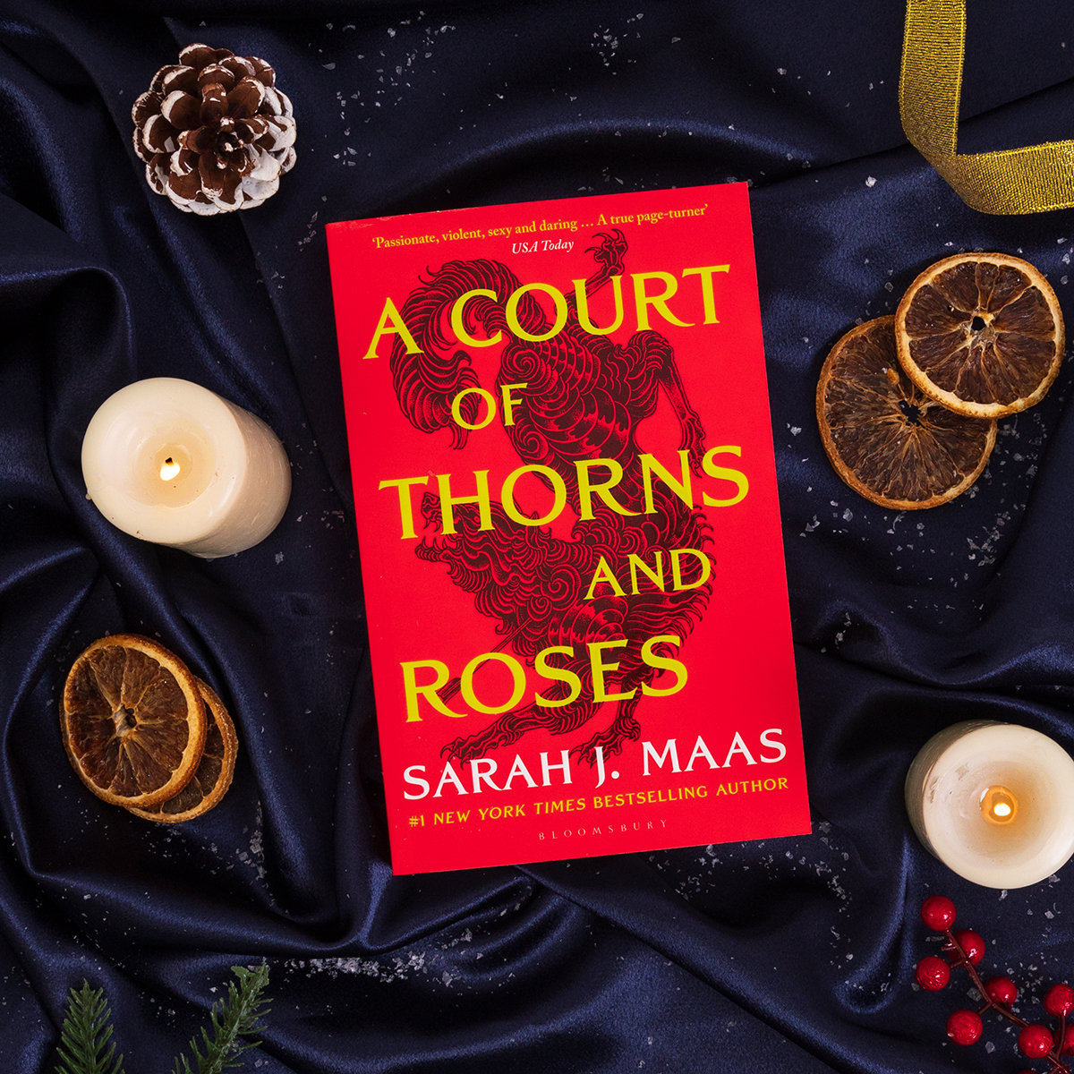 Enter the world of Sarah J. Maas and discover the sweeping romantic fantasy that everyone's talking about for yourself.

Feel the magic this season by getting swept away in A Court of Thorns and Roses by Sarah J. Maas! ✨