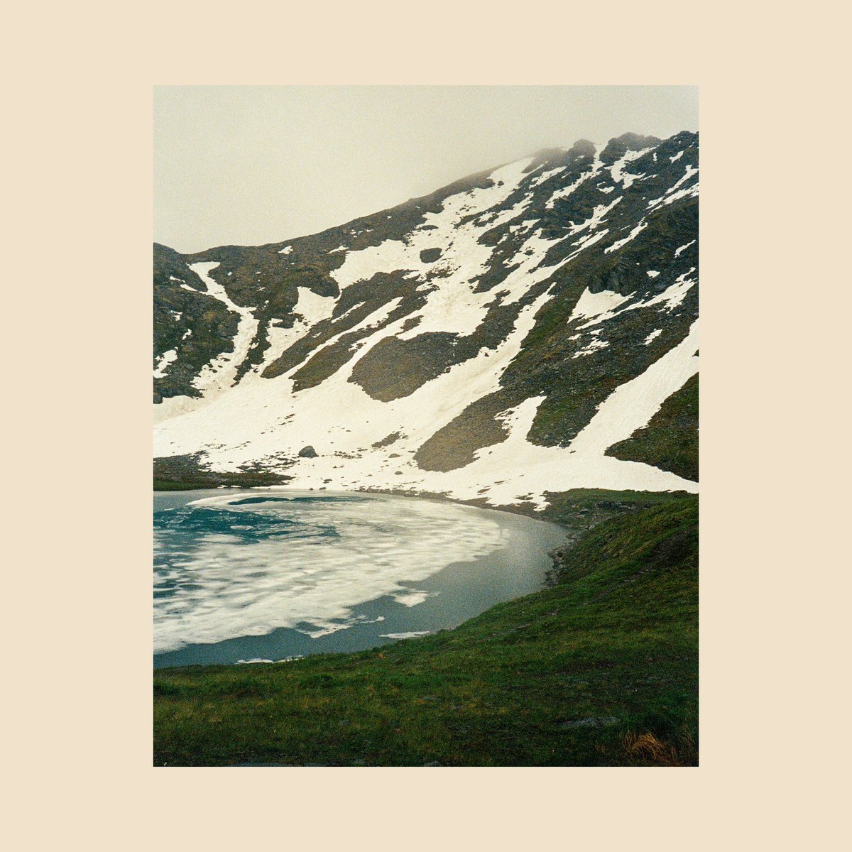 sean flanigan tweet media