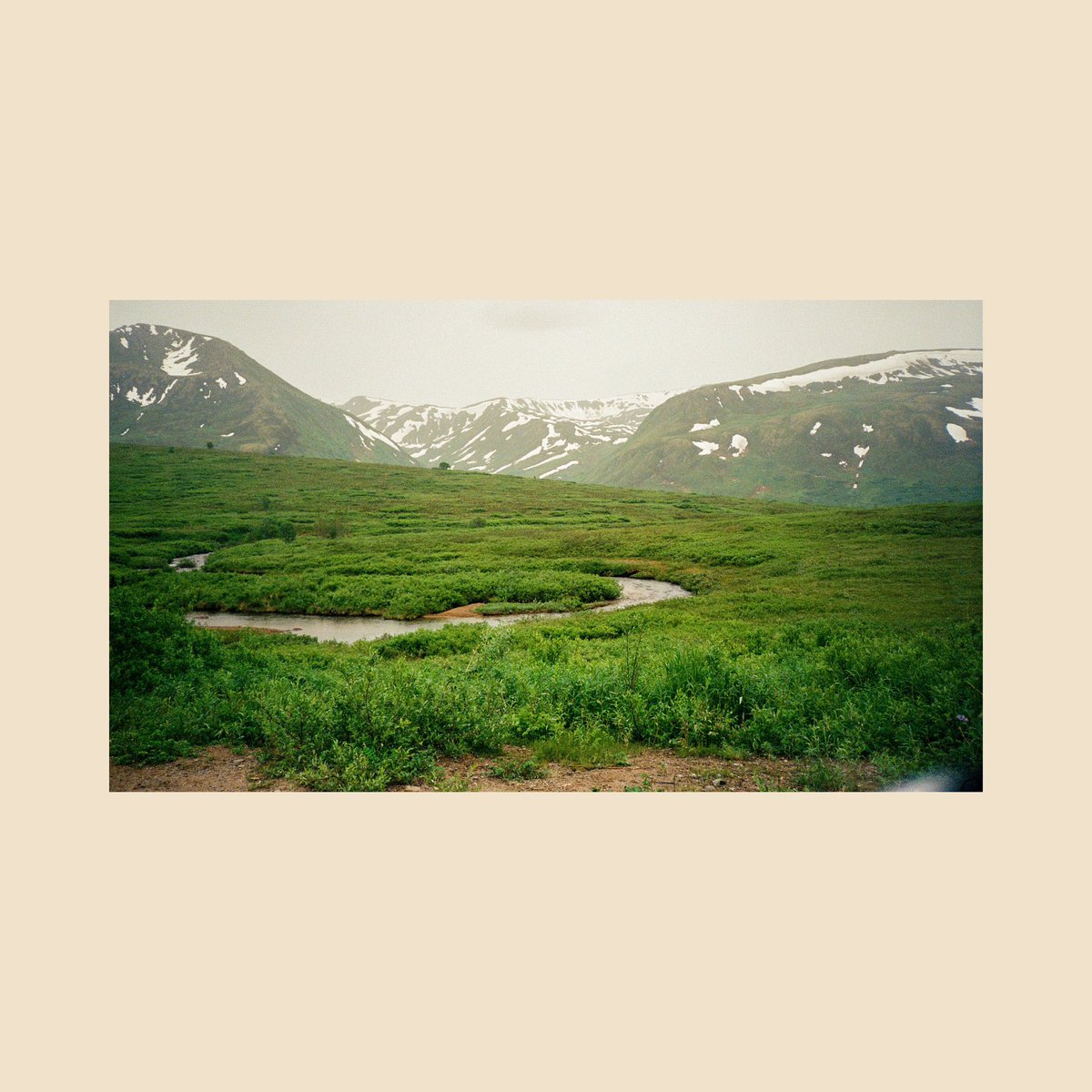 sean flanigan tweet media