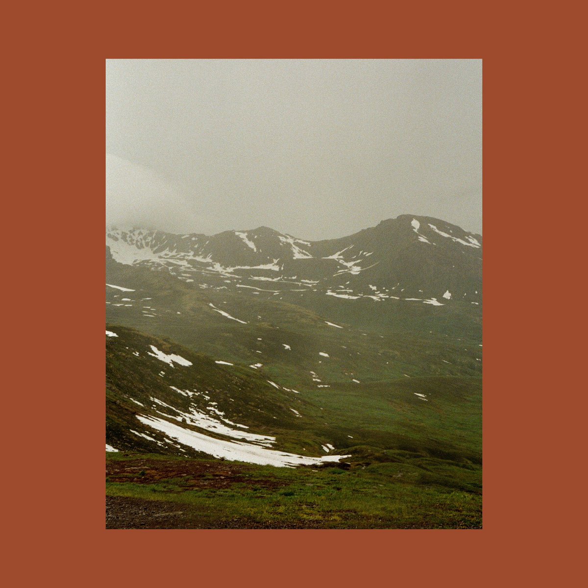 sean flanigan tweet media