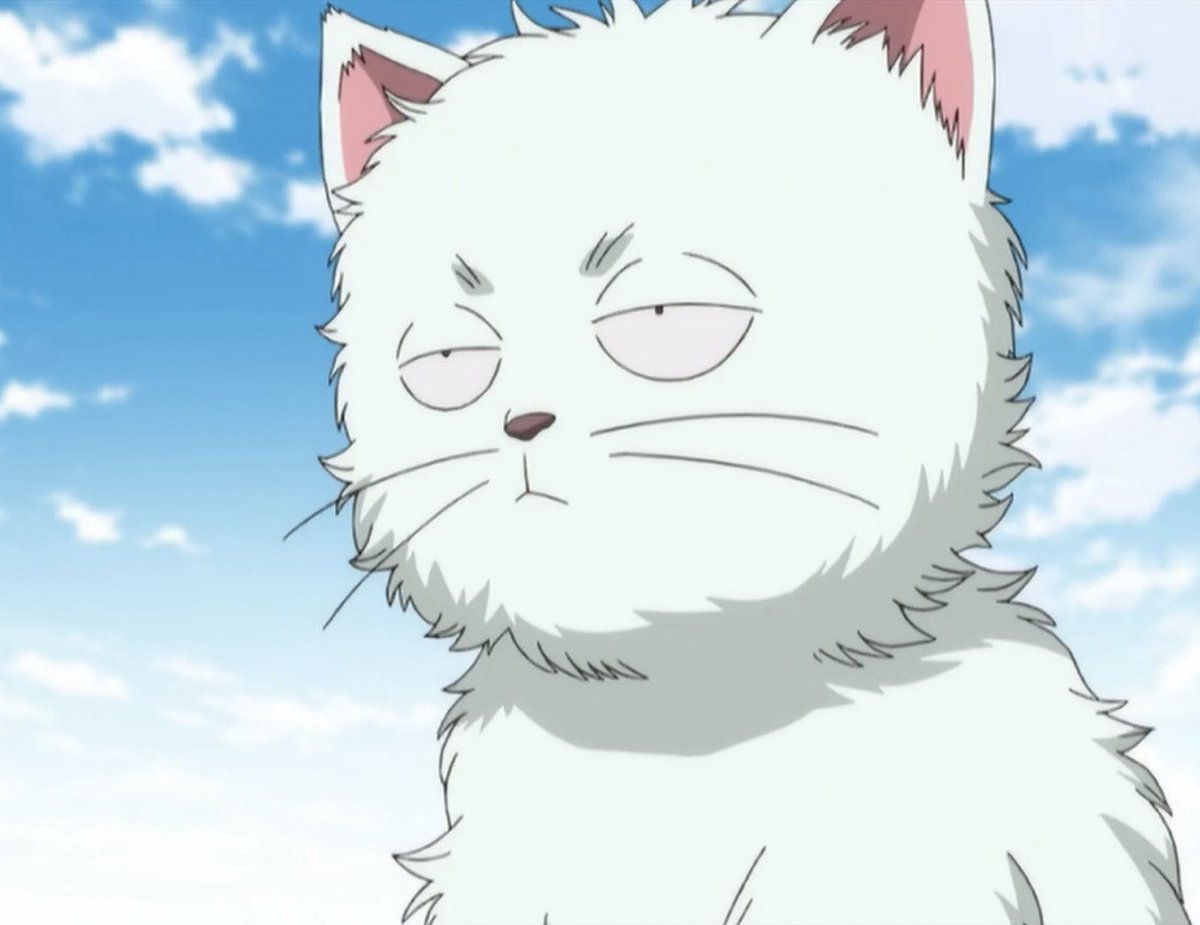 즈라고양이는                                       긴냥은
고급샴푸 써서                                 걍 오이비누로
털이 번지르르 한                       벅벅 씻긴 털같음
반면에