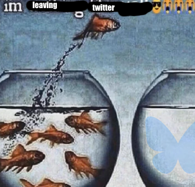 🐈🏍 tweet media