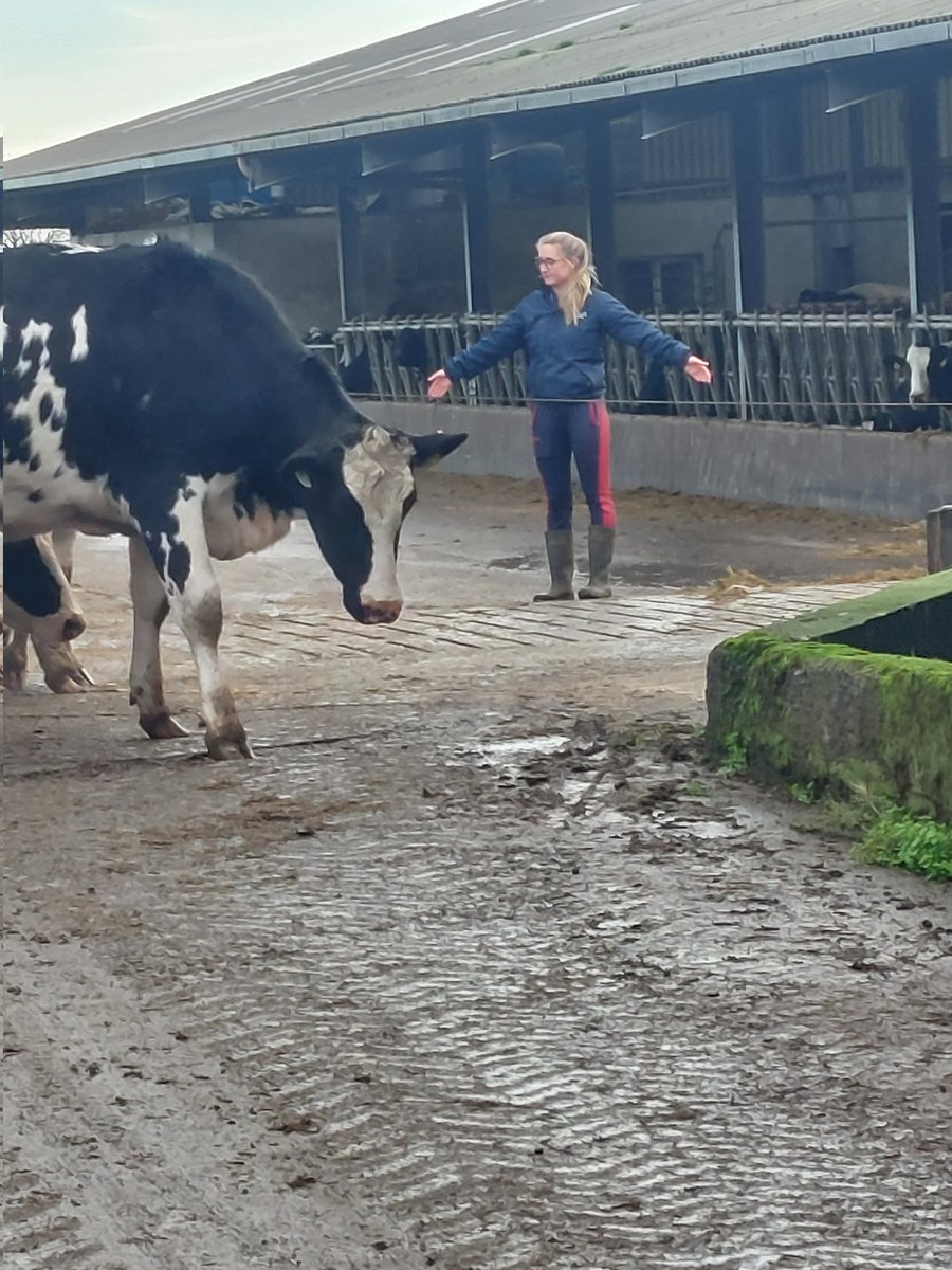 Jim Mulhall🚜🐄 tweet media