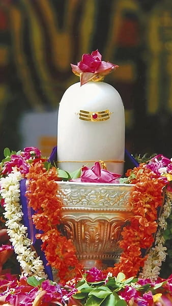 MRCHOUDHARY97's tweet photo. No fan of #Sanatani will pass without liking this post ❤️

 HAR HAR MAHADEV 🙏 

Pradeep Gupta राजीव शर्मा 
#HockeyIndia Axis My India 
#MaharashtraElection2024  
भारतीय महिला हॉकी टीम #Election2024 
China 1-0 चुनाव आयोग "Hobi"
#ExitPolls  #Jharkhand 
#AskSSMBandAG
#DevakiNandanaVasudeva 
#DNVreleasingOnNov22nd