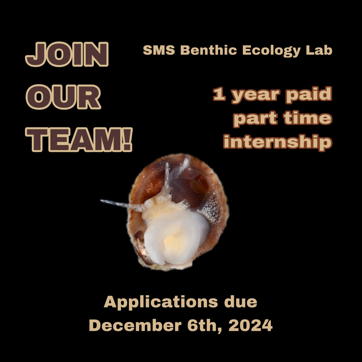 BenthicBrigade's tweet image. 📢Internship Announcement!
We are offering a year long, part time paid internship. Do you have experience with or interest in eDNA techniques? Send your CV and a brief statement of interest to SweatL@si.edu to apply!