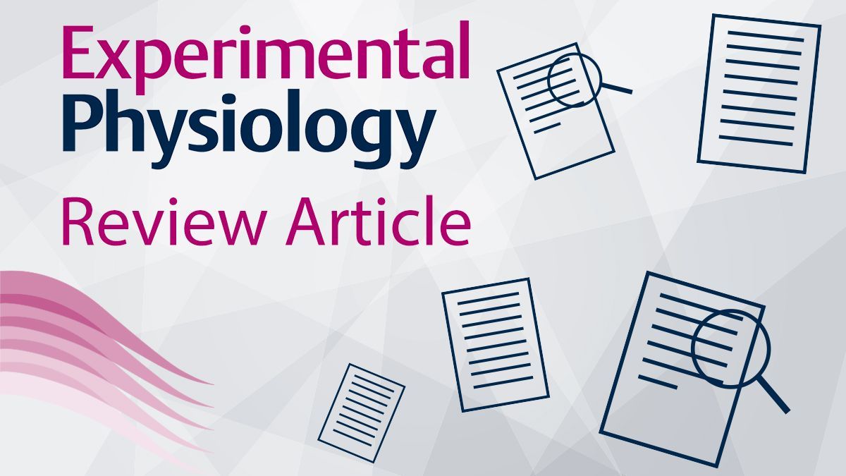 ExpPhysiol's tweet image. This #Review from Fatima Kayali (@UHSussex) et al. provides a narrative of mechanical circulatory support in left #ventricular unloading and facilitating ventricular remodelling in #heartfailure.
📜buff.ly/4fGR0dk