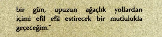 kendinize söylediğiniz bir cümle yazın