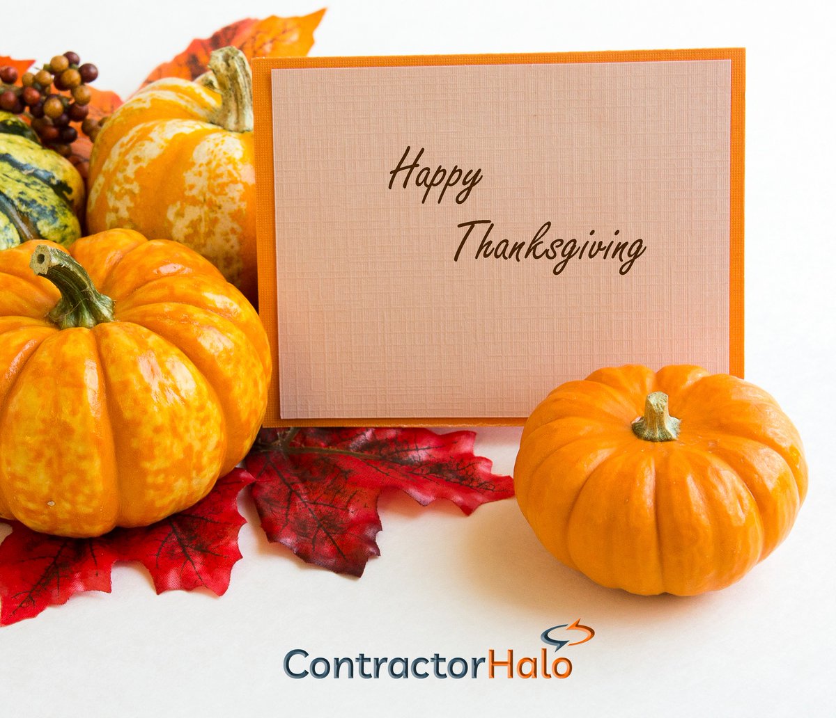 contractorhalo's tweet photo. Happy Thanksgiving from all of us at ContractorHalo. https://t.co/5RVjYv9hM1