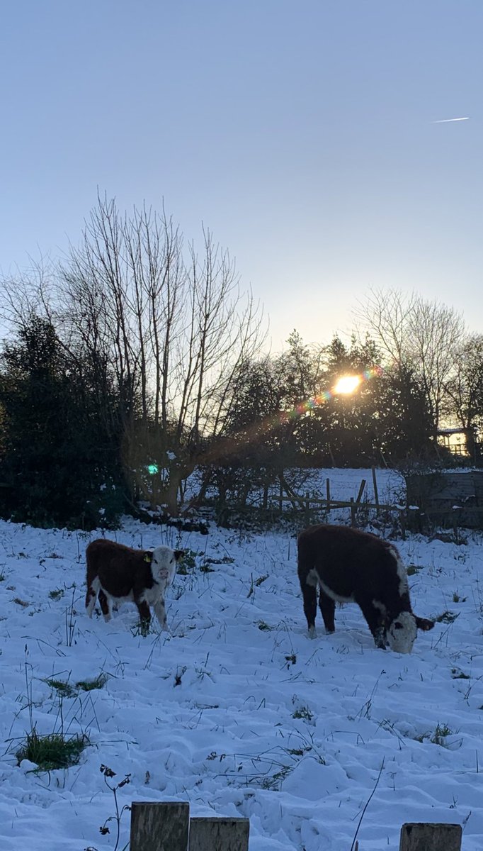 Carter 💭 tweet media