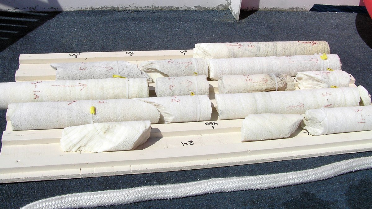 How do we know about past climate on our reefs? #ClimateWeek
Coral skeletons hold temperature records. Their structure and chemistry record variations in the temperature &amp; water composition around them. #CoralCores #Paleoclimatology
flowergarden.noaa.gov/education/cora…