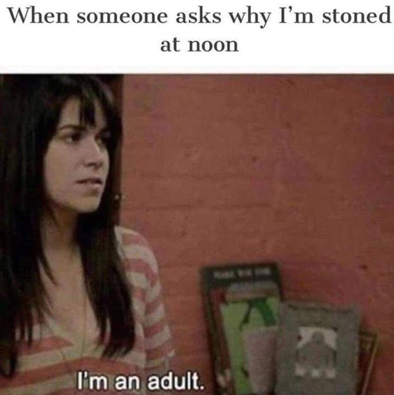 things that i smoke weed to tweet media