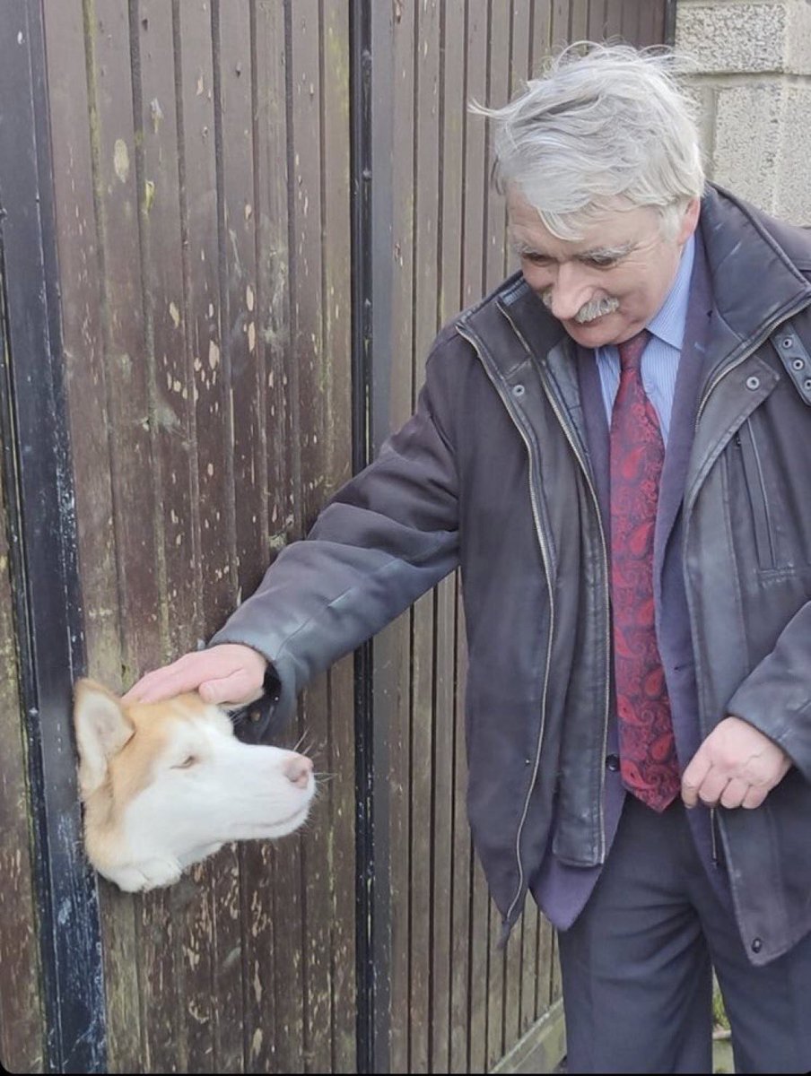 bbboatclub's tweet photo. Willie O Dea doing a bit of populism by using a Dog Petting Gloryhole, which is a tradition here in Limerick. But you’d never seen him use one outside of elections https://t.co/OSHPYOGZAf