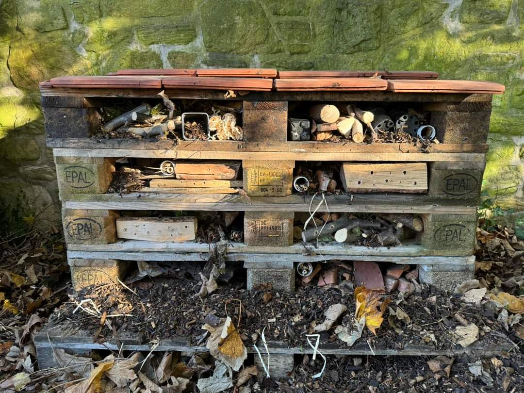 From a few pallets, donated by <a href="/NewcastleCC/">Newcastle City Council</a>, and the skill and expertise of James and Pauline, we now have two new, luxury 'bug hotels' in JOC. A bit hidden from human view, but we're hoping our 'guests' will find them!!
@NENature_ 
<a href="/CommonByNature/">James Common</a> 
<a href="/jesmondlocal/">JesmondLocal</a> 
<a href="/JesmondRes/">JesmondResidents</a>
