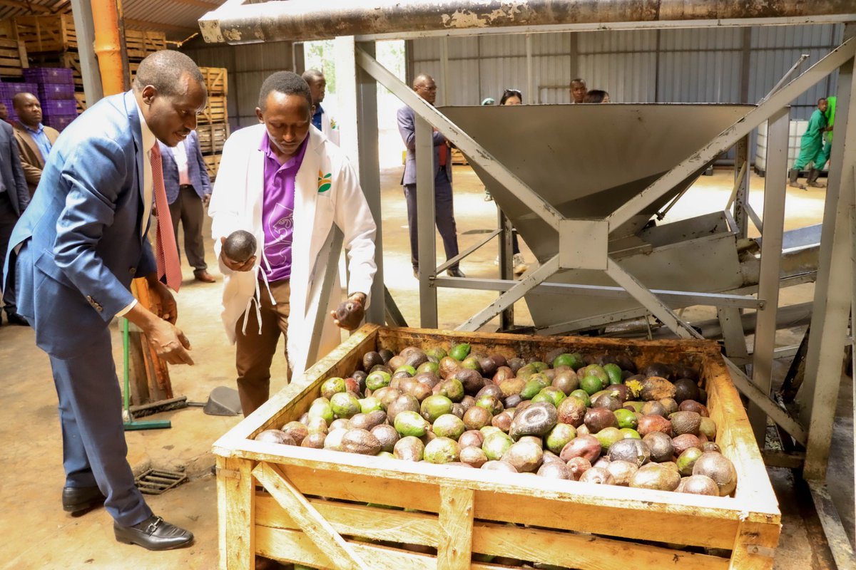 SaD GeNeRatioN tweet media