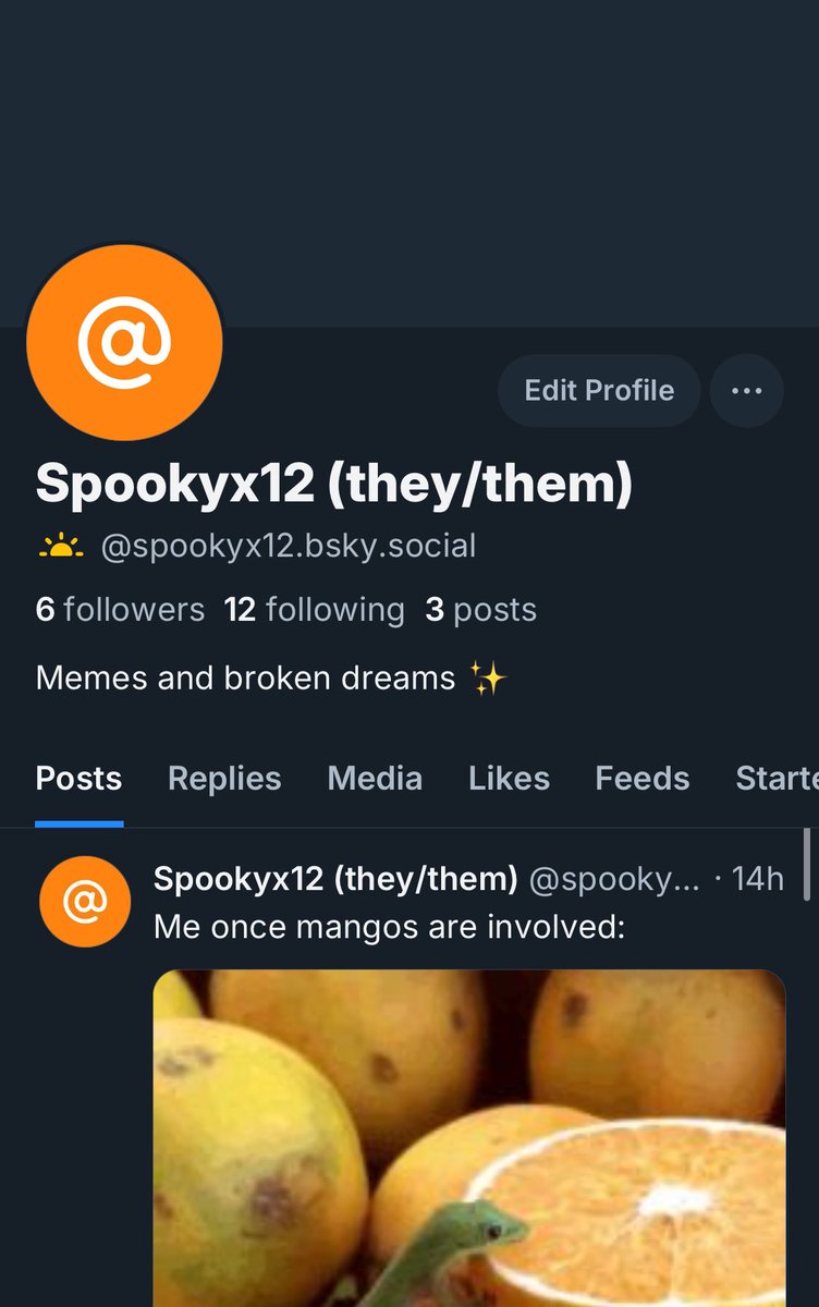 Still setting up shop, but I’m being a silly billy on Bluesky instead if you want to follow me 💕