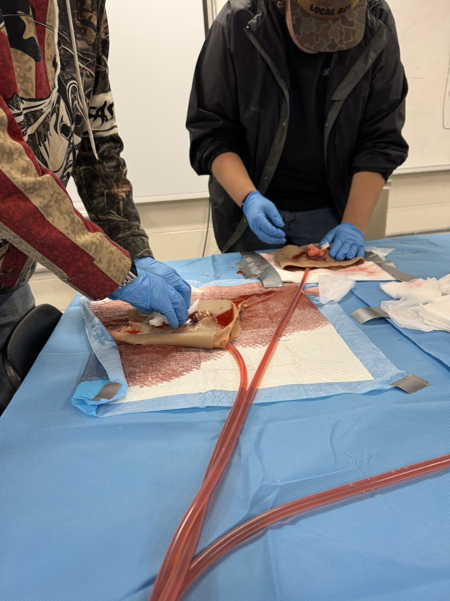 MrsPierce_'s tweet photo. “Ms P do people really bleed like this?!?” 😂😂😂 #LabDay https://t.co/2EJnms54U9