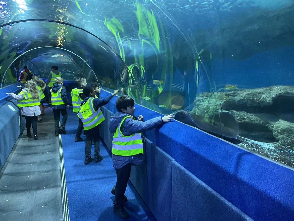 HungerfordAcad's tweet photo. More photos from Year 3's trip to the aquarium 🐡🐟🐠🦀 https://t.co/l1MpA0ddJ6