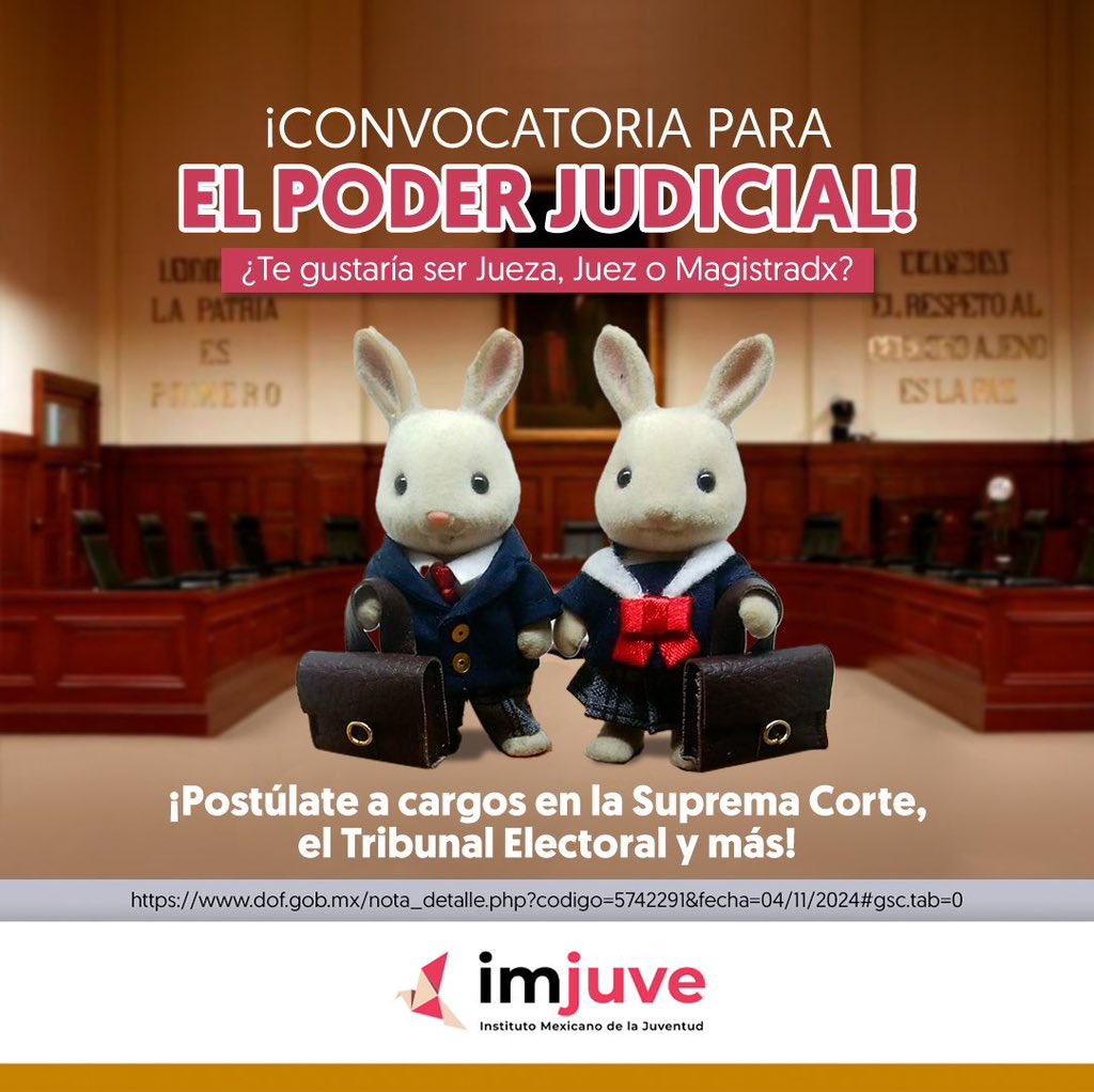 ortegadeluna's tweet image. 📣📣📣 👩‍💼👨‍💼🇲🇽
¡Atención abogadas y abogados!
¡Que no se te pase!
Tienes hasta el Domingo 24 de noviembre de 2024 para registrarte para participar en la renovación del Poder Judicial.
#LaReformaAlPoderJudicialVa
#TodosConClaudia 

🛜💻 👉registroeleccionjudicial.adyt.gob.mx👈