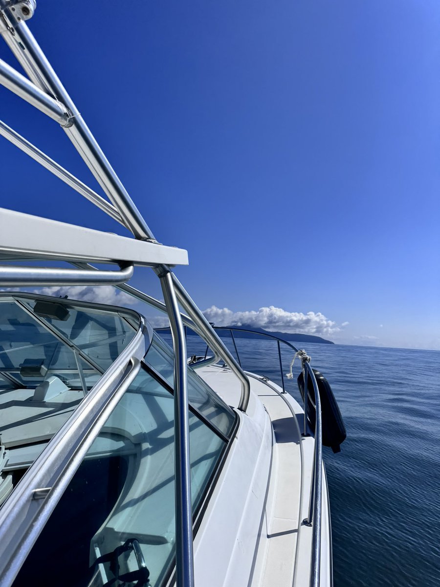 GM gmers, get after it!! 

Its a beautiful day!!! 😼🌴