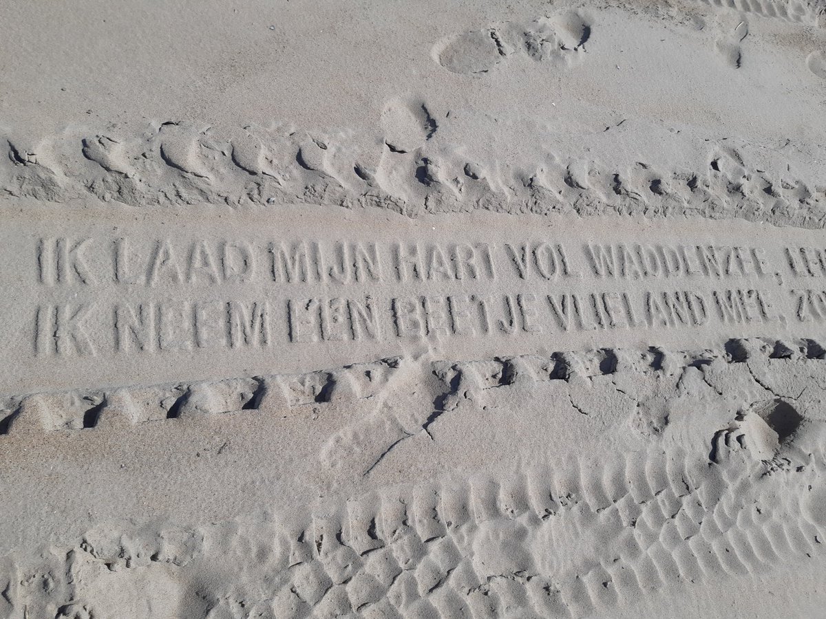 Zenbur04's tweet image. Sporen met poëzie op het strand van Vlieland #Spoor #November_kiek