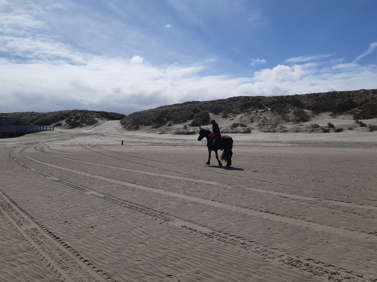 Zenbur04's tweet image. Sporen met poëzie op het strand van Vlieland #Spoor #November_kiek
