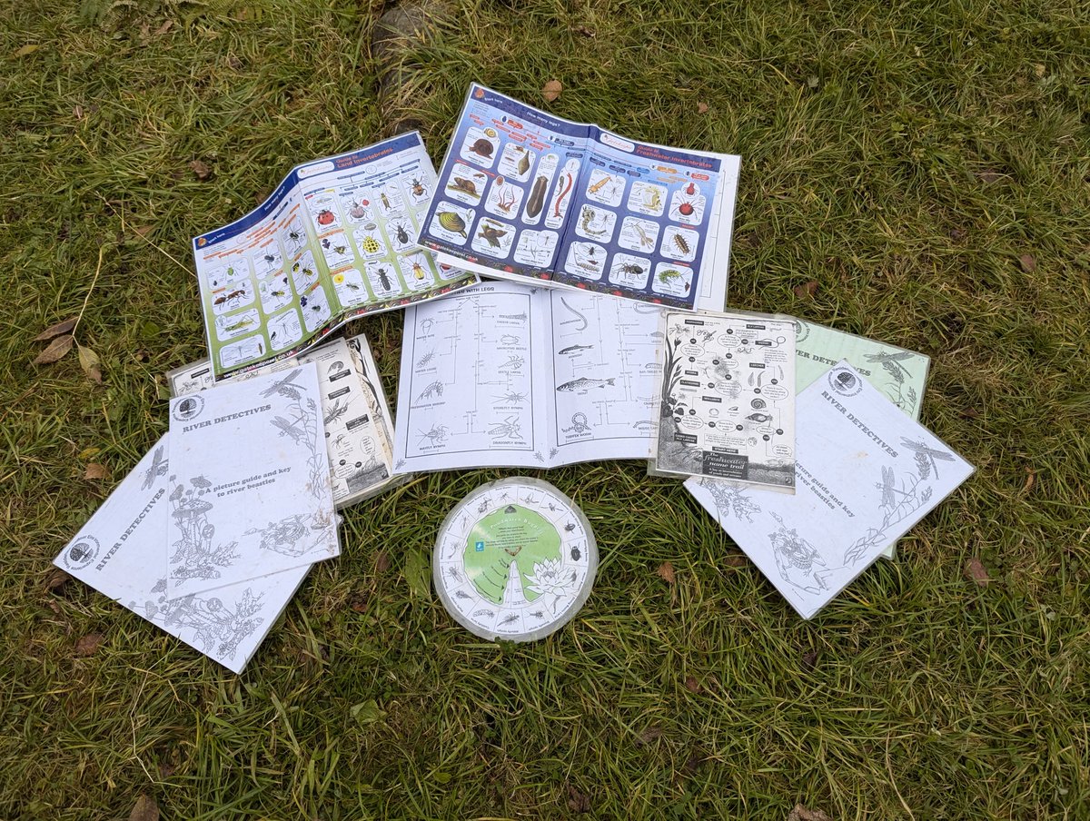 Environmental studies this week, exploring minibeasts and river ecosystems. We encountered many Damselfly Nymph's, Freshwater Shrimps and Water Boatmen. 
#outdoorlearning #outdooreducation #riverdipping #environmentalstudies #aberfoyle #minibeast #residentials #scotland #dounans