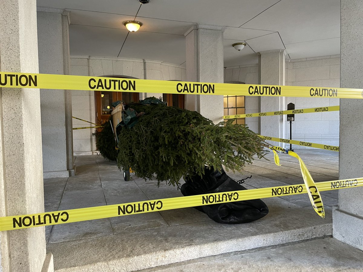 RepJessie's tweet photo. The 2024 Capitol Christmas Tree has arrived! This year’s tree is a 36-foot balsam fir from Pine Lake in Oneida County. It’s really starting to feel like the Christmas season!🎄 https://t.co/jRSxm3zTKa