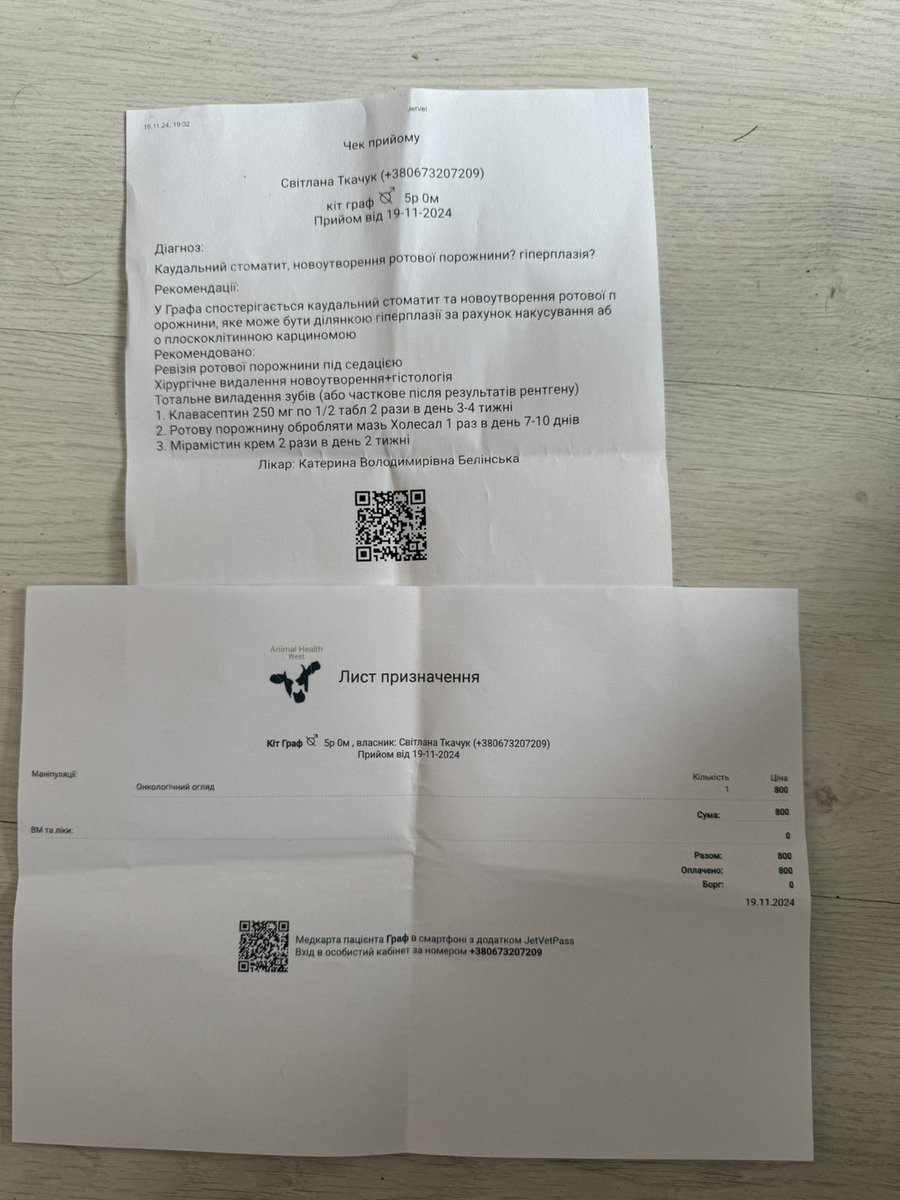 SOS котик Граф потребує допомоги. Питання життя або... Графчик з'явився в притулку з надією на прилаштування, та виявилось, що має розростання в ротику, які можуть бути наслідком хронічного запалення зубів або онко. Щоб котику не боліло, треба зробити видалення пухлини та хворих