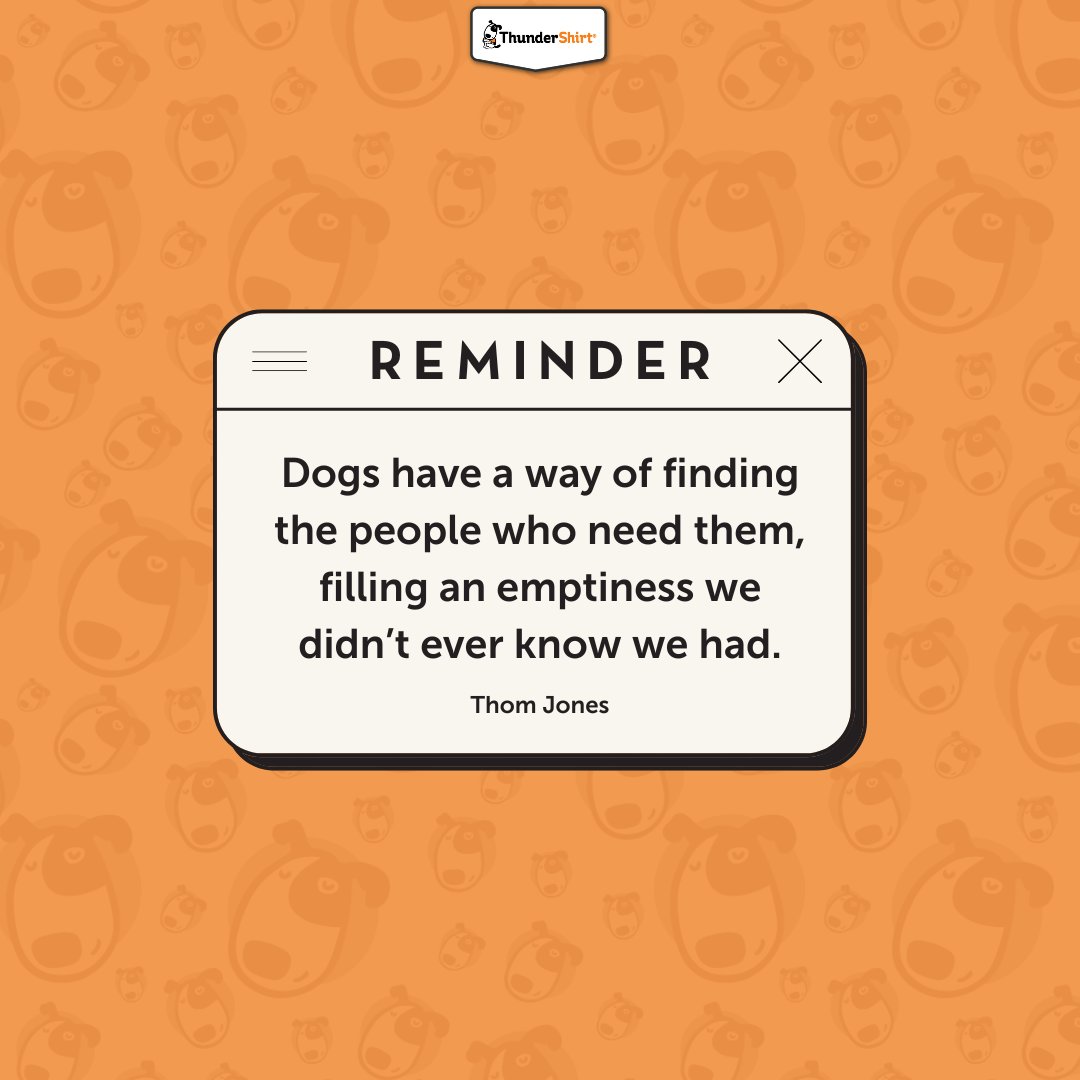 We can't deny the impact dogs have on our lives! We're so lucky to have them 😊🐶