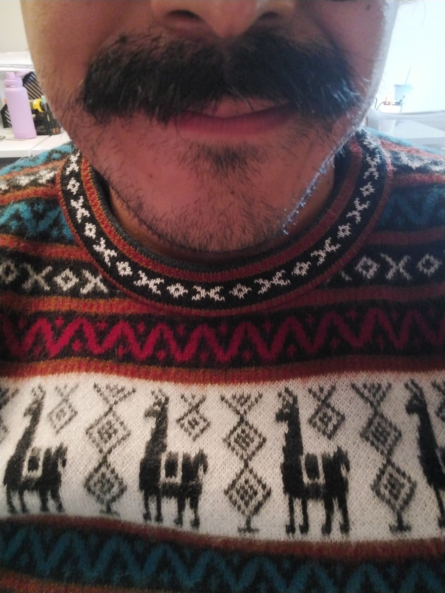 Don_Giulio's tweet photo. Hoy traigo mi suéter de llamas 🦙🦙🦙🦙 https://t.co/BcLBGZPLD3