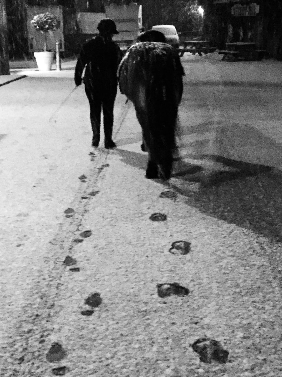 ArianJacobs's tweet image. In de  #November_kiek van @Tpzijl vandaag het thema #Spoor.